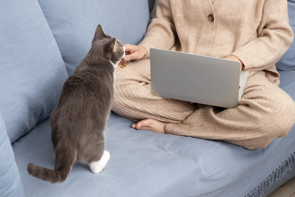 femme qui travaille avec un chat